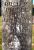 Ruel M. Bisbee Gravestone
