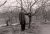 John Bisbee (1839-1932)